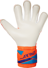 Reusch Attrakt Freegel Advance Junior