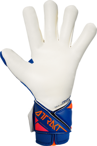 Reusch Attrakt Gold X Guardian